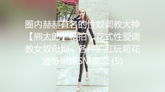 这个狗逼怎么样？