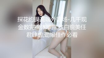 我可以插嘴吗