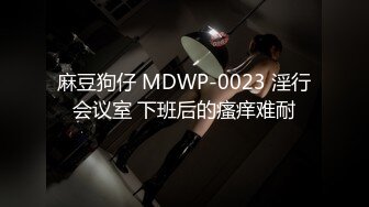 麻豆狗仔 MDWP-0023 淫行会议室 下班后的瘙痒难耐