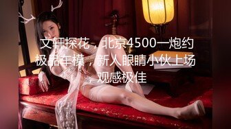  文轩探花，北京4500一炮约极品车模，新人眼睛小伙上场，观感极佳