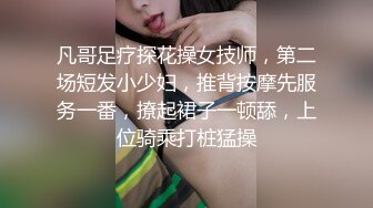 极品资源-欧美精品女优和系列射精片段23小时大合集【86V】 (18)