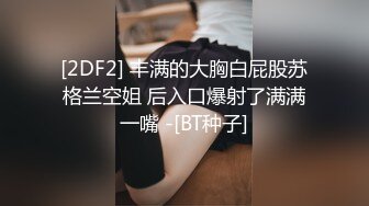 王牌飞行员与他的极品嫩模