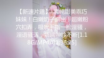 黏黏团子兔 NO.039 女仆小叽