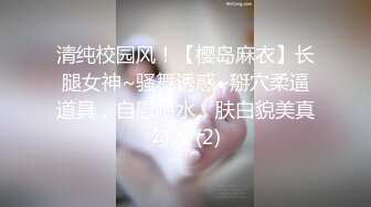 【麻豆传媒】 MDHT-0005《奇淫旅社》肉棒和小穴的交谊聚会-宋南伊