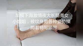 十一月新流出 私房大神极品收藏 商场女厕全景后拍系列 黑衣小美女放个屁拉稀 (2)