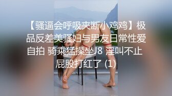 【超推荐❤️会尊享】麻豆传媒最新女神乱爱系列-女神恋爱巴士 淫乱巴士的性爱惩处 麻豆女神苏清歌 高清720P原版首发 (2)