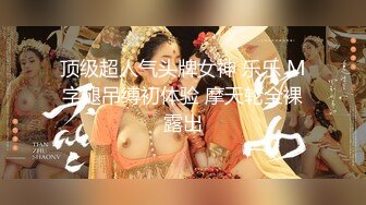 【台灣】太陽花女神 劉喬安 應召完整版(片尾含彩蛋)