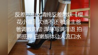 萝莉社 lls-238 美女销售为冲业绩主动献身客户-柠檬