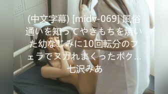 (中文字幕) [PPPD-876] 第一次去女朋友家的我被她的巨乳姐姐诱惑出轨无套内射