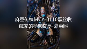 麻豆传媒MCY-0110黑丝收藏家的秘密交易-夏禹熙