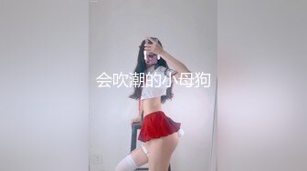 会吹潮的小母狗