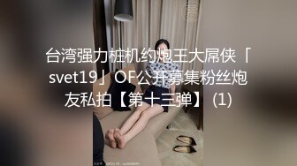 【三级】《绝色女仆小姐姐》