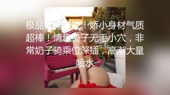 后入大奶骚妇，二哈观战