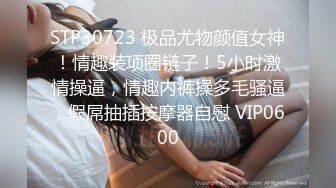 STP30723 极品尤物颜值女神！情趣装项圈链子！5小时激情操逼，情趣内裤操多毛骚逼，假屌抽插按摩器自慰 VIP0600