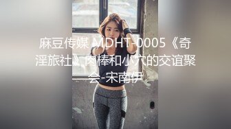 麻豆传媒 MDHT-0005《奇淫旅社》肉棒和小穴的交谊聚会-宋南伊