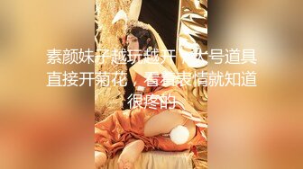 麻豆传媒映-淫欲肉便器 中奖男凌辱人性玩具 夏晴子