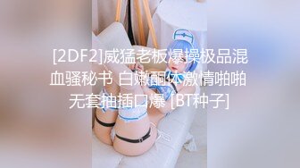 安防精品尤物系列-可以媲美一线当红女明星了5V[某房原版] (1)