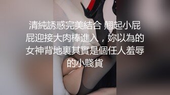 给小母狗买的小内内