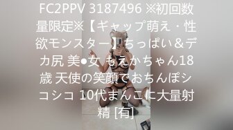 FC2PPV 3187496 ※初回数量限定※【ギャップ萌え・性欲モンスター】ちっぱい＆デカ尻 美●女 もえかちゃん18歳 天使の笑顔でおちんぽシコシコ 10代まんこに大量射精 [有]