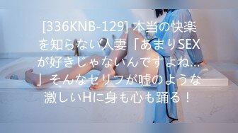 その义母、过去あり。～知られざる美人継母奴●调教～ 佐藤エル