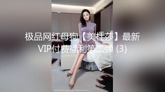 极品网红母狗【美杜莎】最新VIP付费福利第二弹 (3)