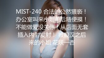 MIST-240 合法的公然猥亵！办公室叫来小姐前后随便摸！不能做爱没关係！从后面无套插入内射发射！ 被癡汉之后来的小姐 花咲一杏