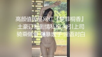 高颜值极品网红『梦菲桐香』土豪订制剧情私拍 勾引上司骑乘做爱 强暴嫂子 淫语对白