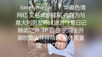 ✨lonelymeow✨▶▶华裔色情网红 又名北京瑶瑶 内容为与意大利男友环球旅游性爱日记 除此之外 3P 百合 三洞全开 潮吹露出样样精通 整体质量佳〔NO.7〕