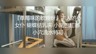 『草莓味的軟糖呀』主人的小女仆 蝴蝶结乳夹 小尾巴肛塞 小穴流水特写