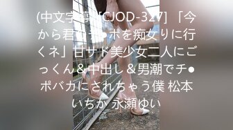 新鲜出炉会所重磅首发 万人求档推推网红亚裔猛女soul69 百变COSER[346P+141V/1.02G]