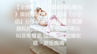 蜜桃影像傳媒 PME003 忍不住對我最愛的小姐姐下藥 王以欣