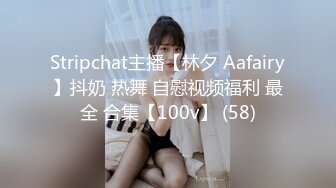 Stripchat主播【林夕 Aafairy】抖奶 热舞 自慰视频福利 最全 合集【100v】 (58)