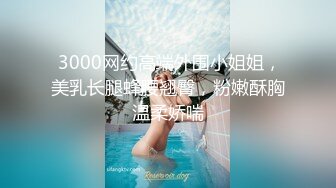  3000网约高端外围小姐姐，美乳长腿蜂腰翘臀，粉嫩酥胸温柔娇喘