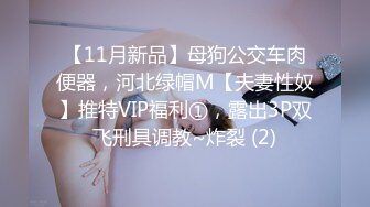 【11月新品】母狗公交车肉便器，河北绿帽M【夫妻性奴】推特VIP福利①，露出3P双飞刑具调教~炸裂 (2)